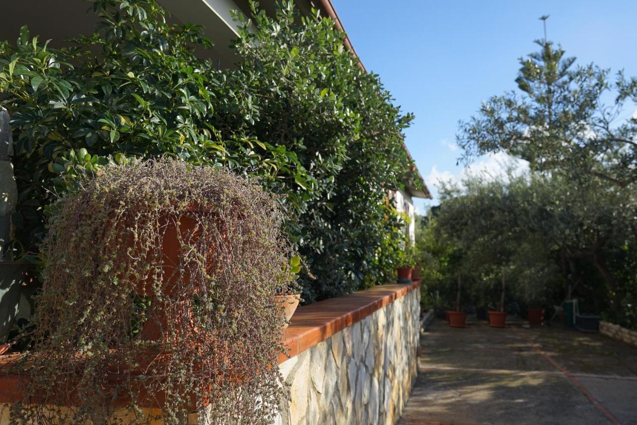 Villa Caterina Scopello Scopello  Kültér fotó